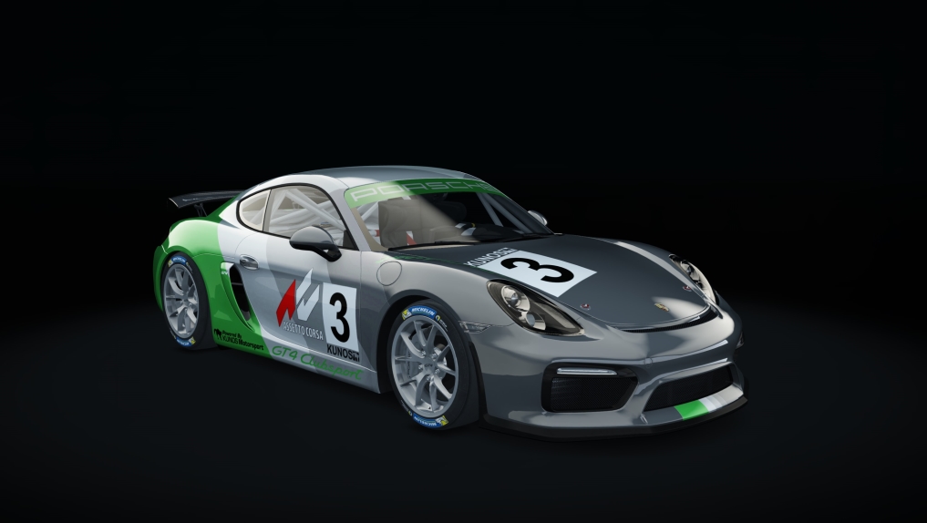 Porsche Cayman GT4 Clubsport Patacuack, skin 04_cup_03