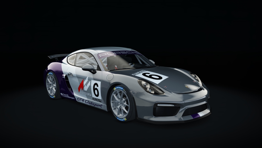 Porsche Cayman GT4 Clubsport Patacuack, skin 06_cup_06