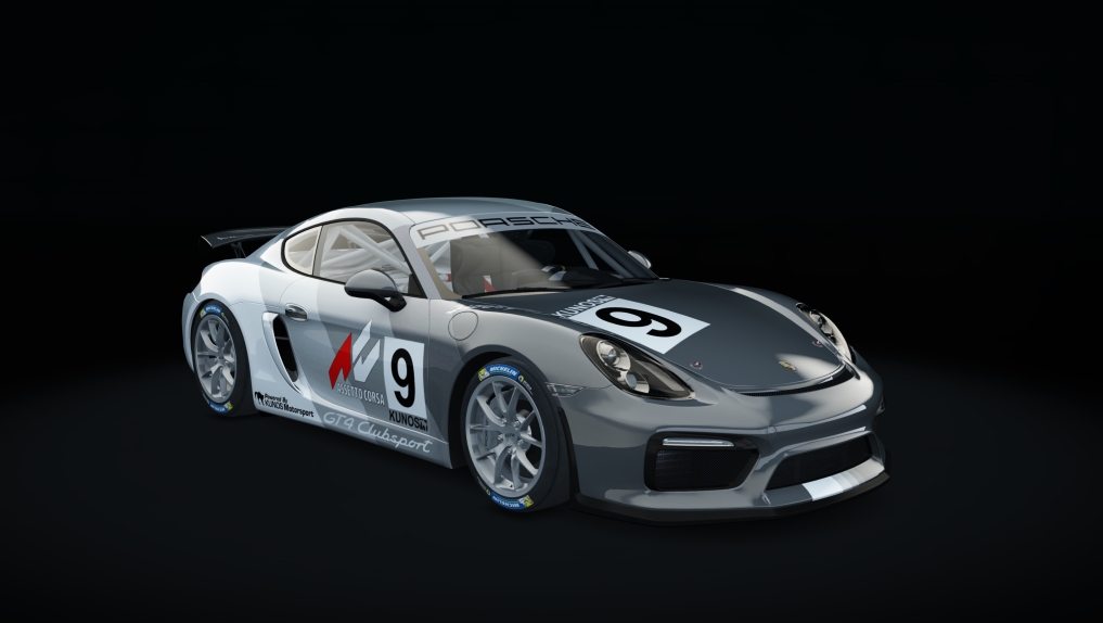 Porsche Cayman GT4 Clubsport Patacuack, skin 09_cup_09