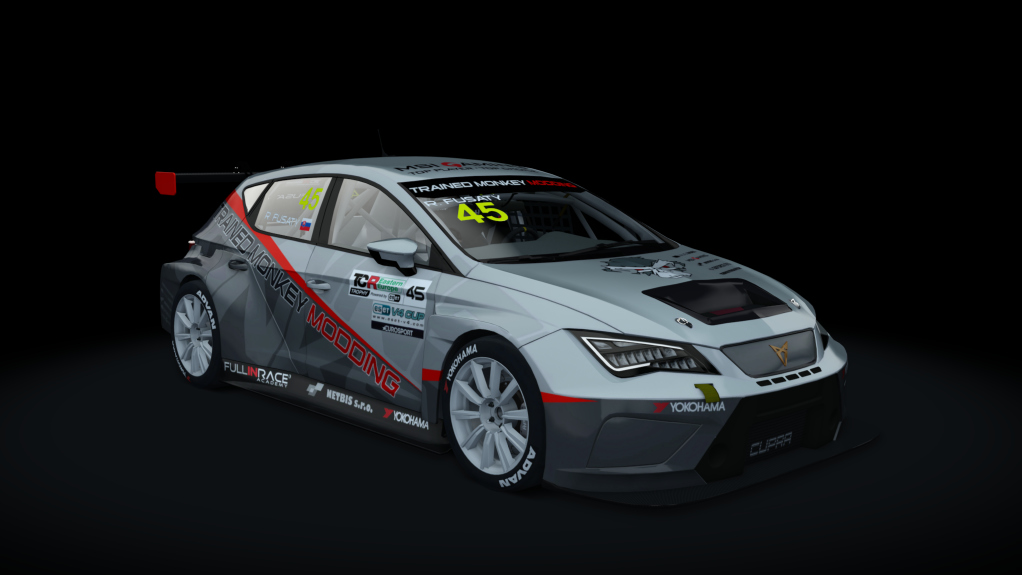 Cupra TCR SEQ 2019, skin fuzo_45_2020