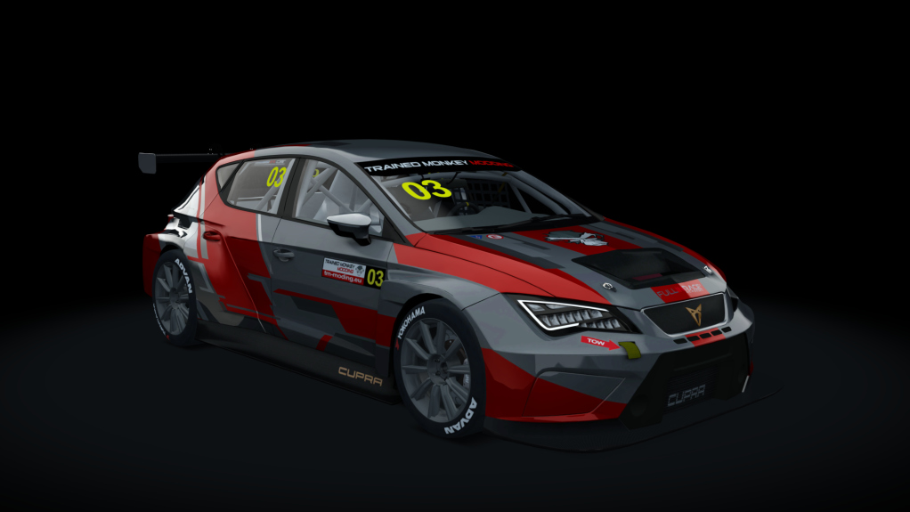 Cupra TCR SEQ 2019, skin tmm_default_03