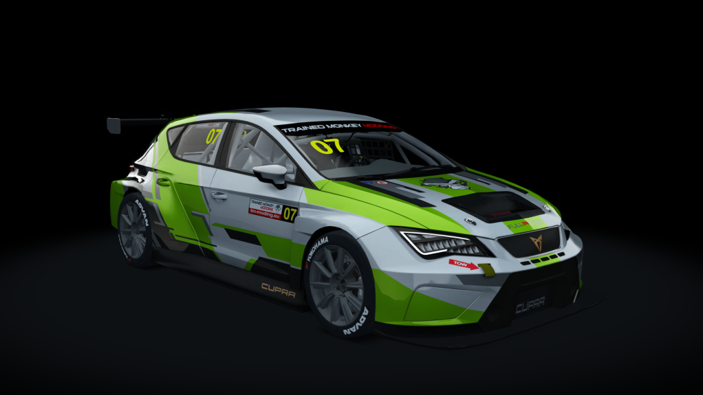 Cupra TCR SEQ 2019, skin tmm_default_07