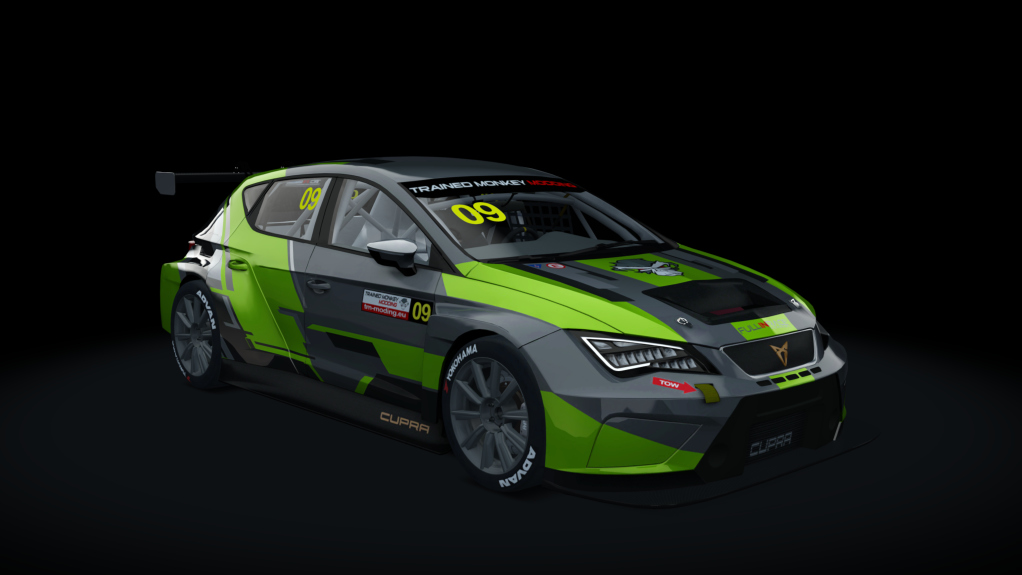 Cupra TCR SEQ 2019, skin tmm_default_09