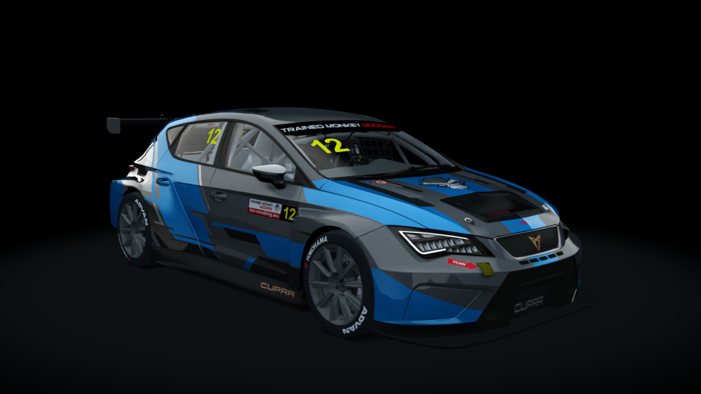 Cupra TCR SEQ 2019, skin tmm_default_12