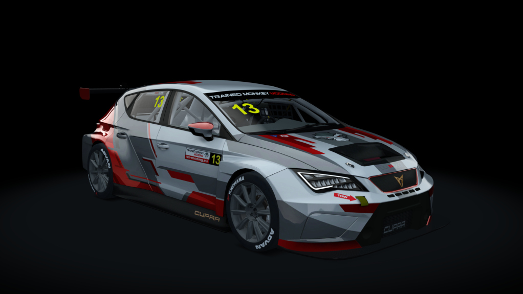 Cupra TCR SEQ 2019, skin tmm_default_13