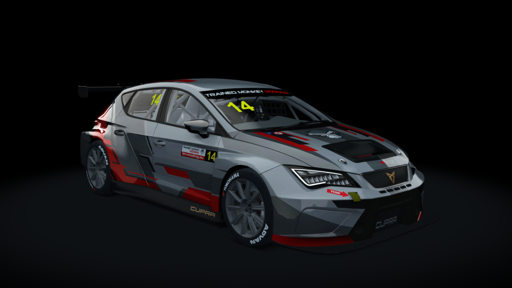 Cupra TCR SEQ 2019, skin tmm_default_14