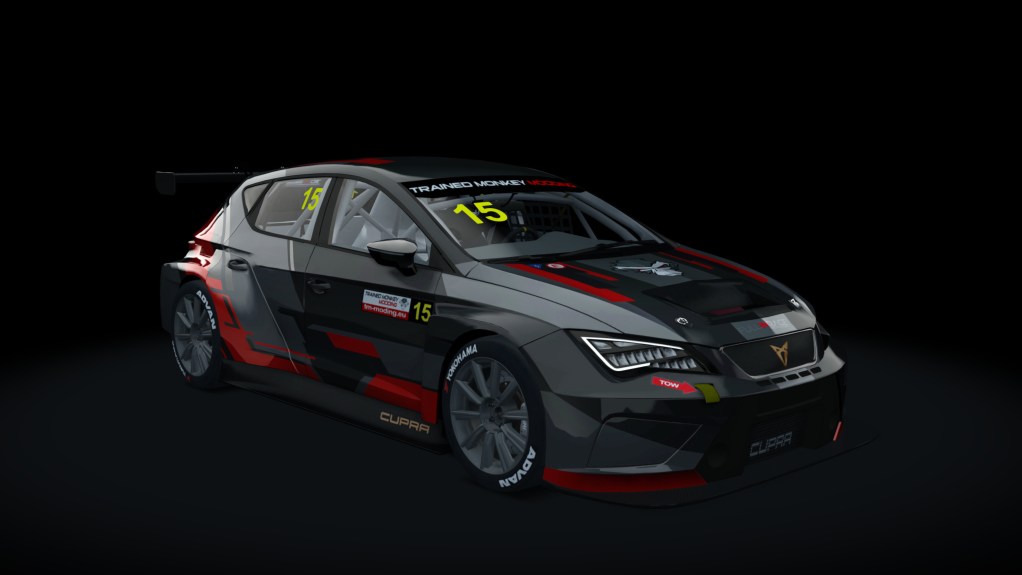 Cupra TCR SEQ 2019, skin tmm_default_15