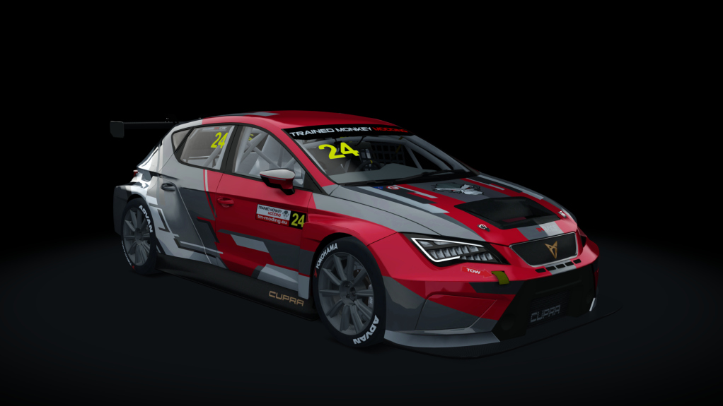 Cupra TCR SEQ 2019, skin tmm_default_24