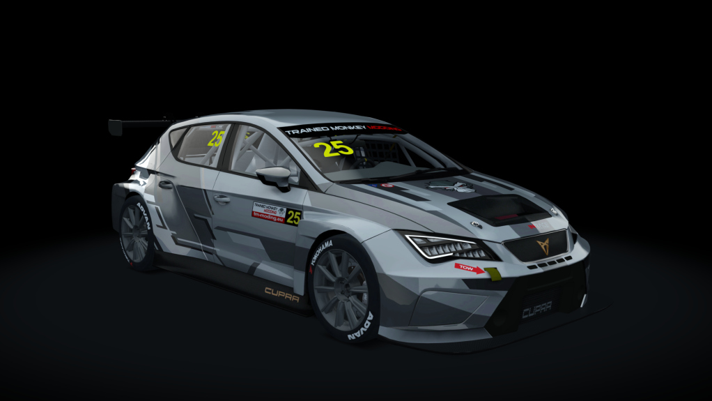 Cupra TCR SEQ 2019, skin tmm_default_25