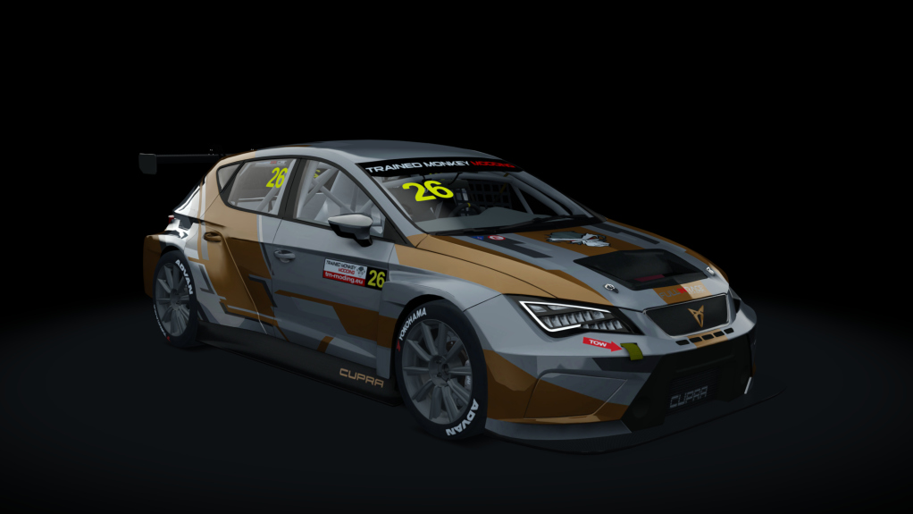 Cupra TCR SEQ 2019, skin tmm_default_26