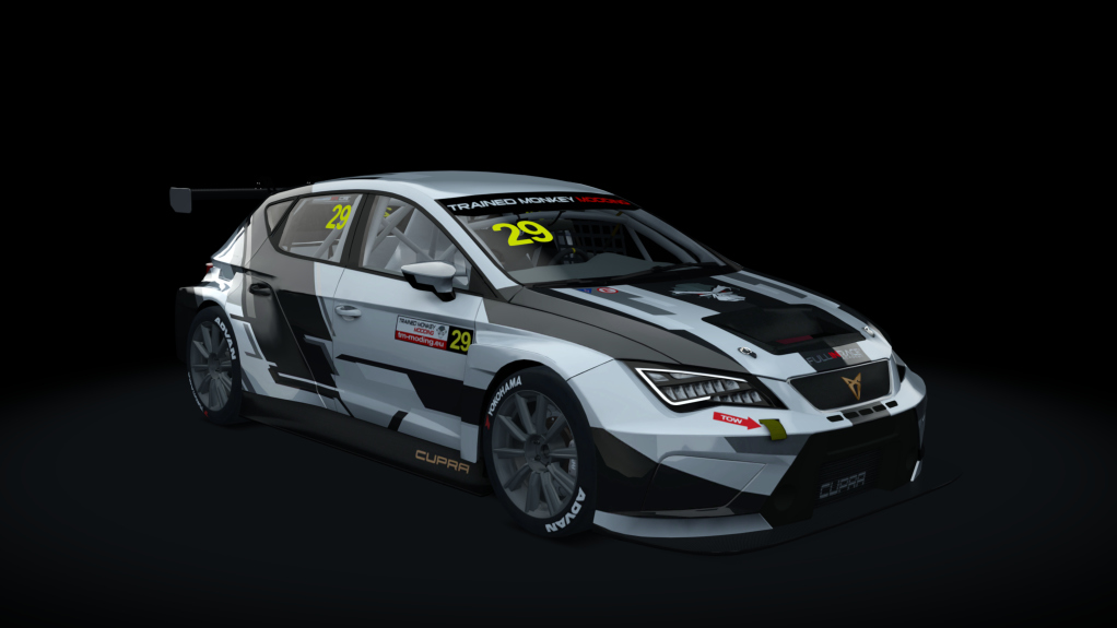 Cupra TCR SEQ 2019, skin tmm_default_29