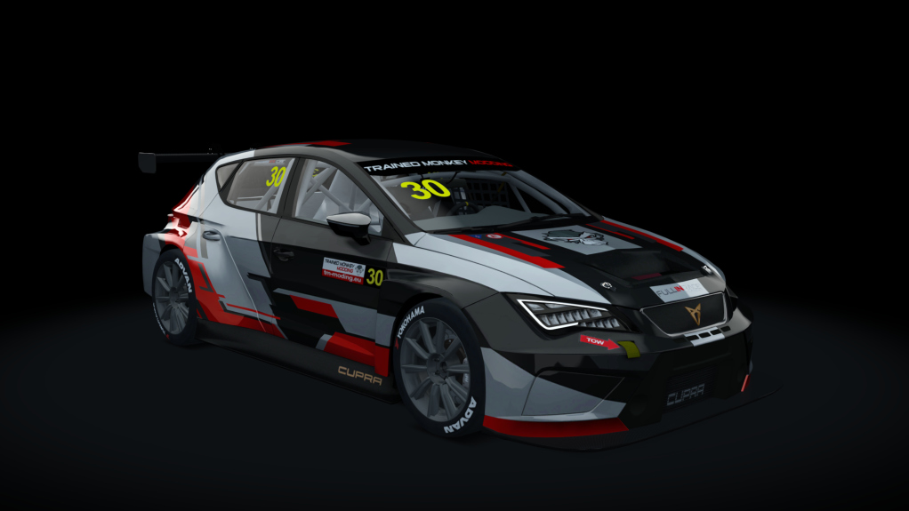 Cupra TCR SEQ 2019, skin tmm_default_30